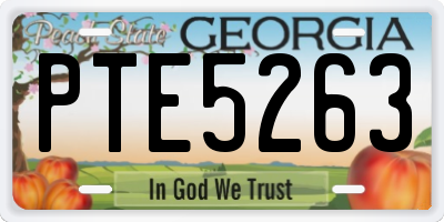 GA license plate PTE5263