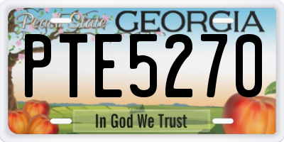GA license plate PTE5270