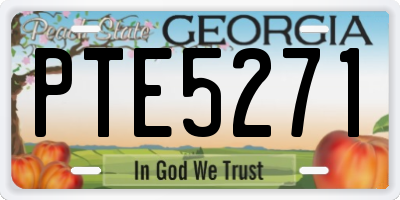 GA license plate PTE5271
