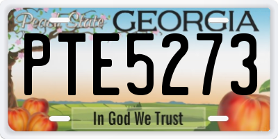 GA license plate PTE5273