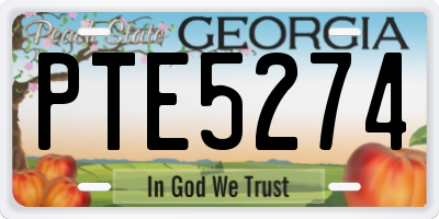 GA license plate PTE5274