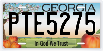 GA license plate PTE5275