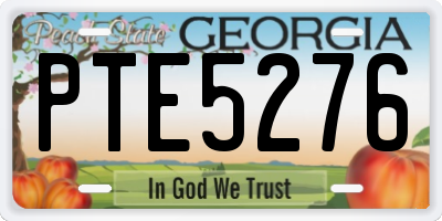 GA license plate PTE5276