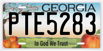 GA license plate PTE5283