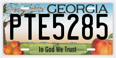GA license plate PTE5285
