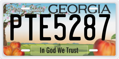 GA license plate PTE5287
