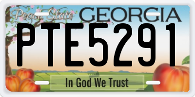 GA license plate PTE5291