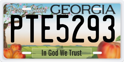 GA license plate PTE5293