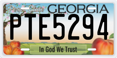 GA license plate PTE5294