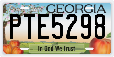 GA license plate PTE5298