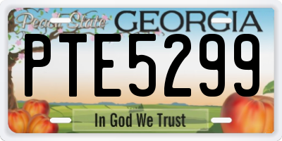 GA license plate PTE5299