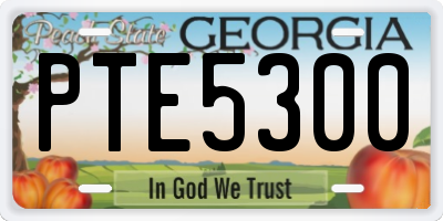 GA license plate PTE5300