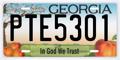 GA license plate PTE5301