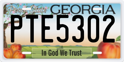 GA license plate PTE5302