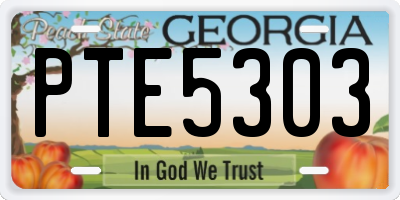 GA license plate PTE5303