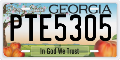 GA license plate PTE5305