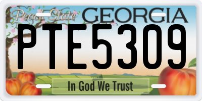 GA license plate PTE5309