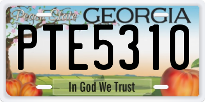 GA license plate PTE5310