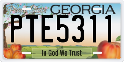 GA license plate PTE5311