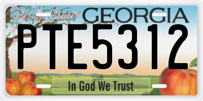 GA license plate PTE5312
