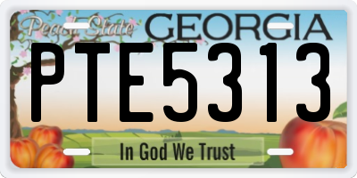 GA license plate PTE5313