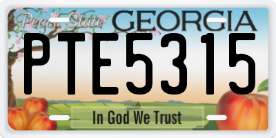 GA license plate PTE5315