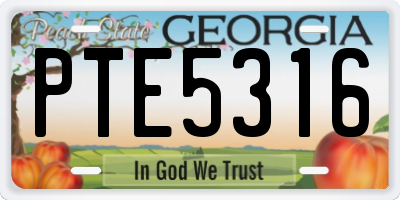 GA license plate PTE5316