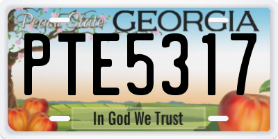 GA license plate PTE5317