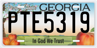 GA license plate PTE5319