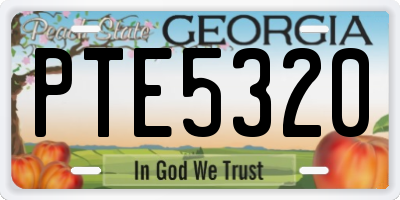 GA license plate PTE5320