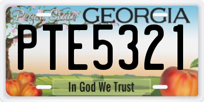 GA license plate PTE5321