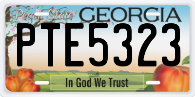 GA license plate PTE5323