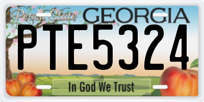 GA license plate PTE5324