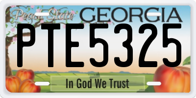 GA license plate PTE5325