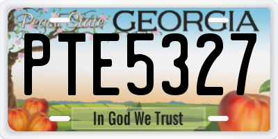 GA license plate PTE5327