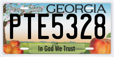 GA license plate PTE5328