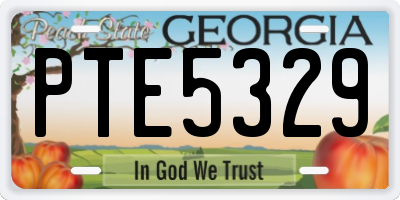 GA license plate PTE5329