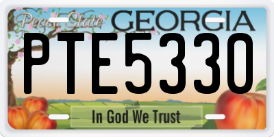 GA license plate PTE5330