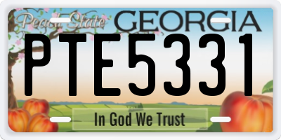 GA license plate PTE5331