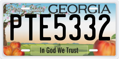 GA license plate PTE5332