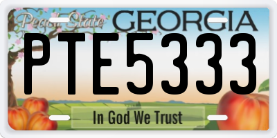 GA license plate PTE5333