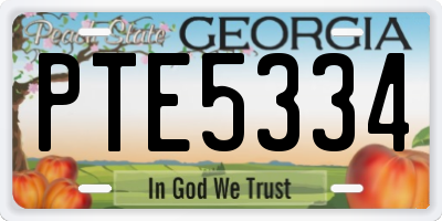 GA license plate PTE5334