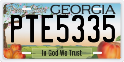 GA license plate PTE5335