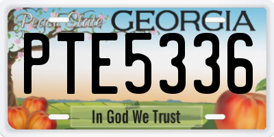 GA license plate PTE5336