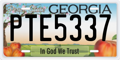 GA license plate PTE5337
