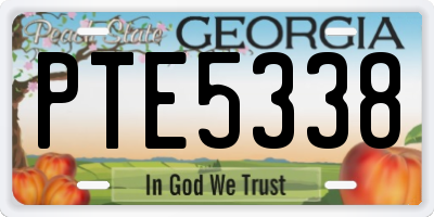 GA license plate PTE5338
