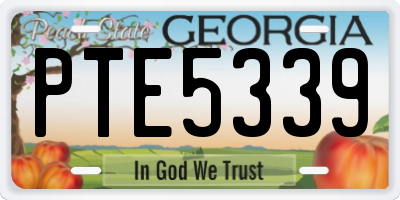 GA license plate PTE5339