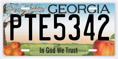 GA license plate PTE5342