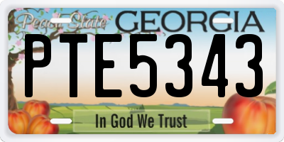 GA license plate PTE5343