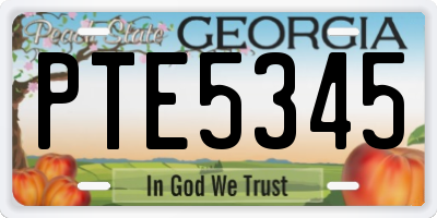 GA license plate PTE5345